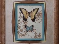 Encadrement marron papillons CLAIRTEAU Pascal L36 H41