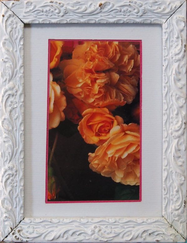 cadre blanc photo de roses AMICALE LAIQUE Atelier encadrement L13 H16