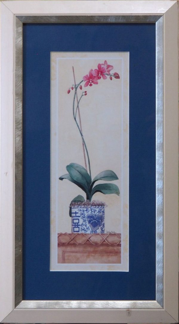 Orchidée rose fond bleu encadrée anonyme  L20 H30
