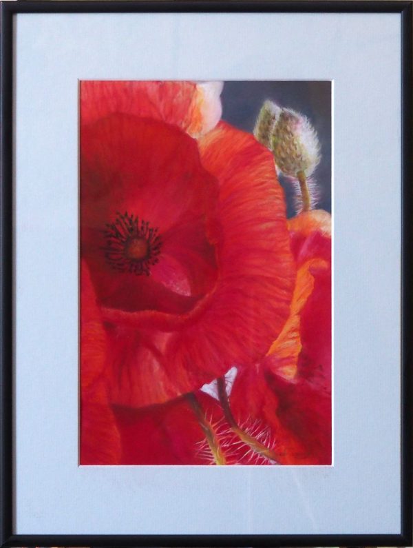 Coquelicot pastel MORY Christiane L30 H40