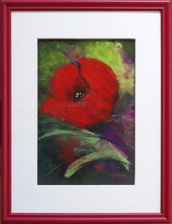 Coquelicot pastel cadre rouge HITIER Marie-Odile L34 H43