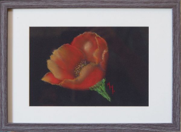 coquelicot fond noir cadre bois gris Atelier Gourville Michèle L32 H23