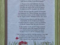 poème encadré le coquelicot Anonyme  L24 H33