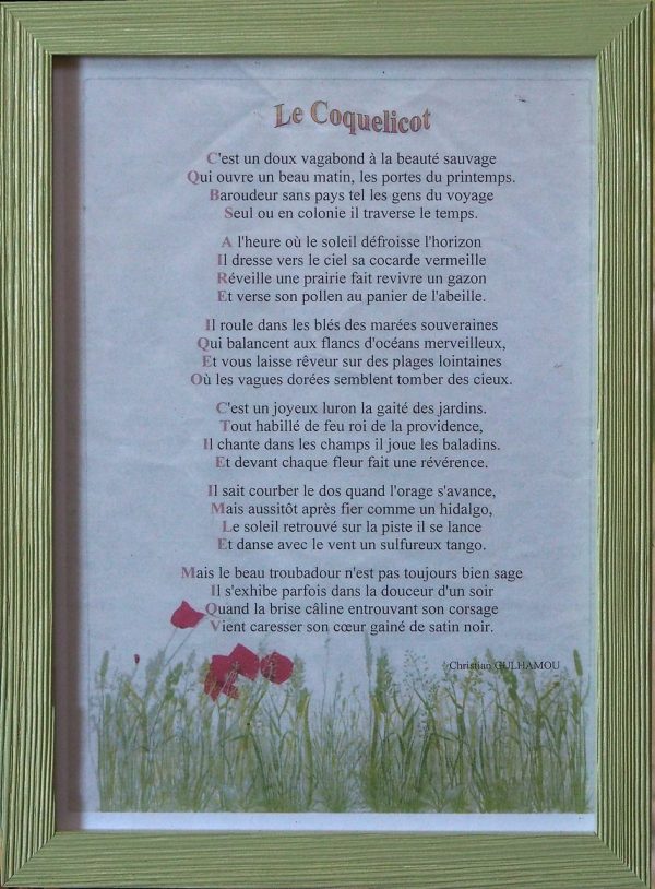 poème encadré le coquelicot Anonyme  L24 H33
