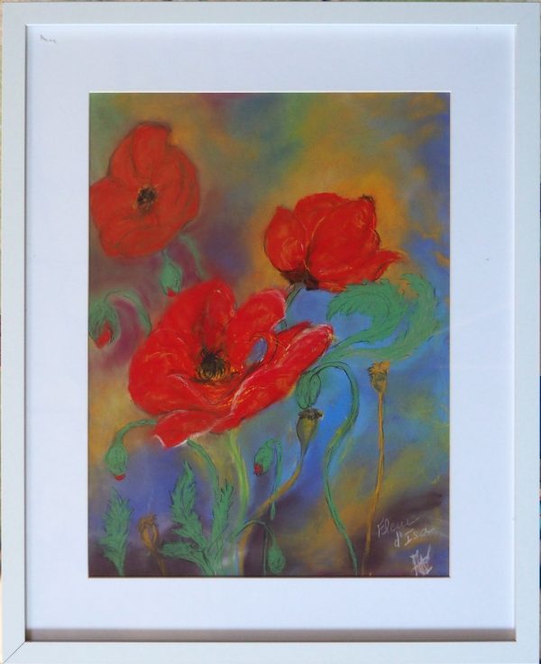 3 coquelicots cadre blanc Atelier Gourville Aurore L43 H53