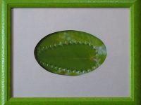Photo feuille encadrement vert VINET  L28 H23