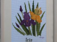 Iris points comptés anonyme  L31 H38