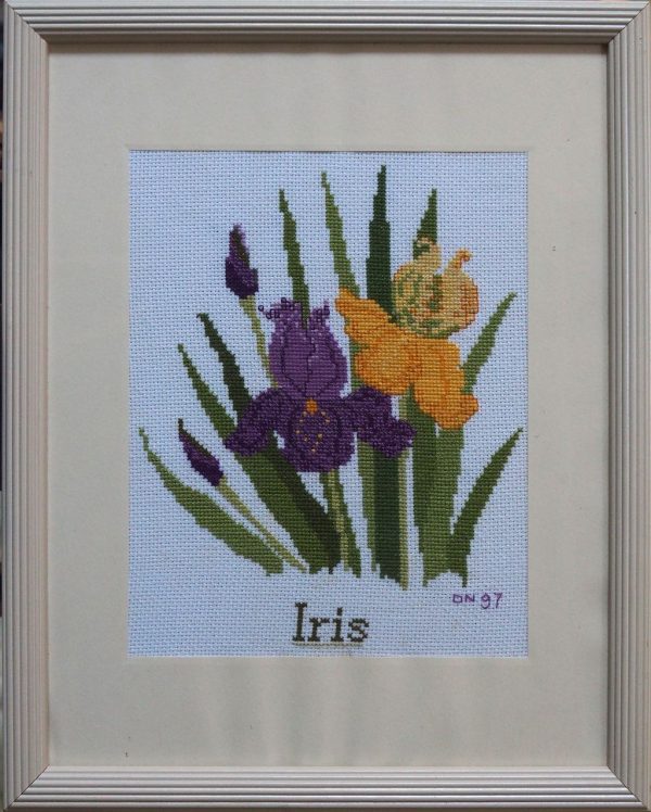 Iris points comptés anonyme  L31 H38
