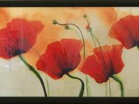 coquelicots Marthe  L157 H60
