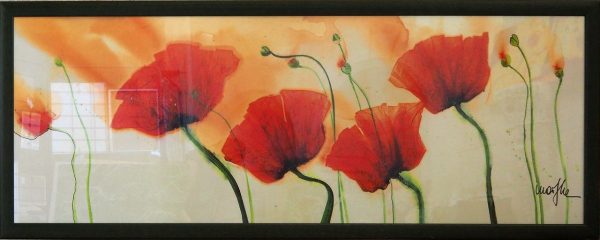 coquelicots Marthe  L157 H60