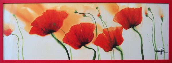 coquelicots Marthe  L97 H35