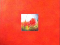 Toile coquelicots fond rouge RIVIERE  Anne L40 H40
