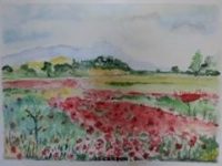 canson champ coquelicots PINERO Rolande L41 H32