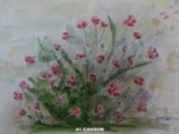 canson aquarelle coquelicot AD  L24 H19