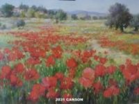 photo coquelicots DE ROSES Vincent L30 H24