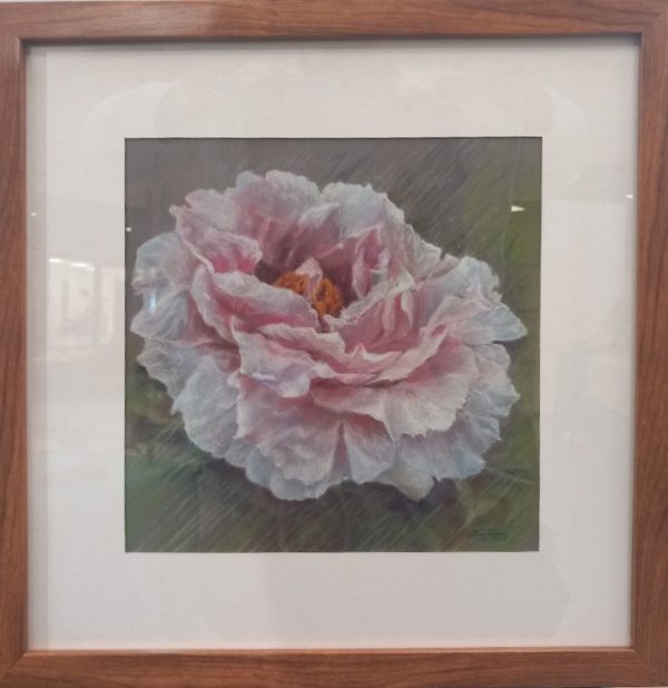 Aquarelle pivoine MAURY Christiane L50 H60