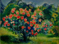 Rosier VAUTARD Nicole L41 H33